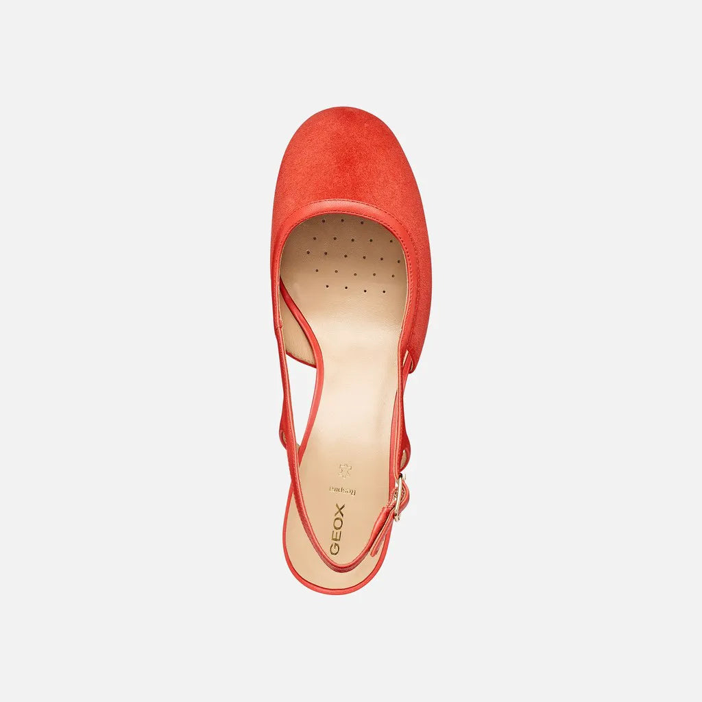 Coral
