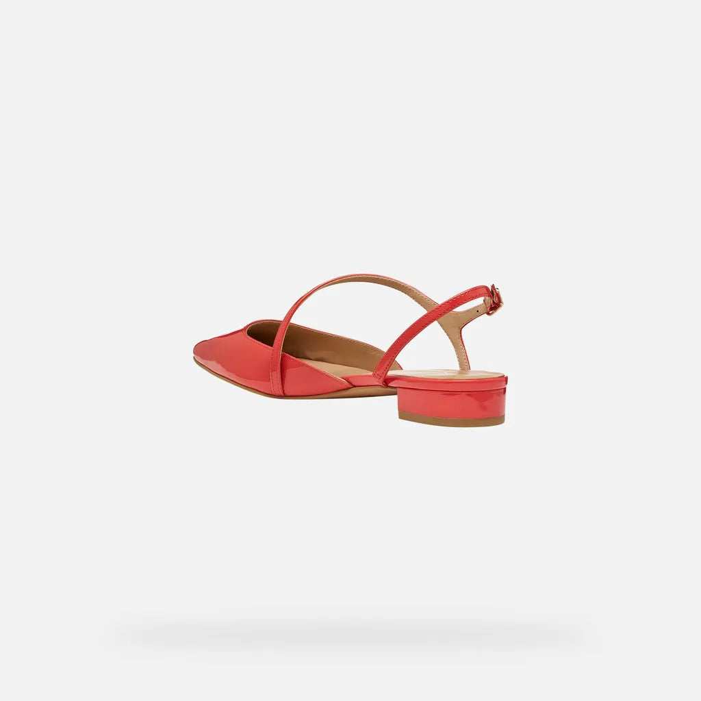 Coral