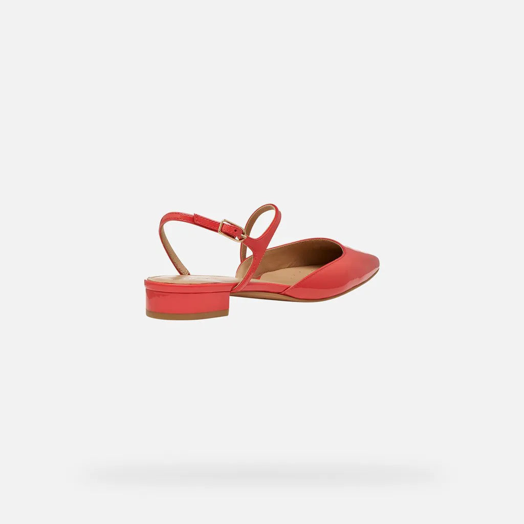 Coral