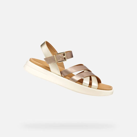 Dark Beige/Light Gold