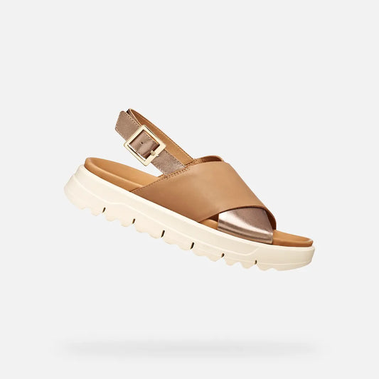 Beige/Dark Beige