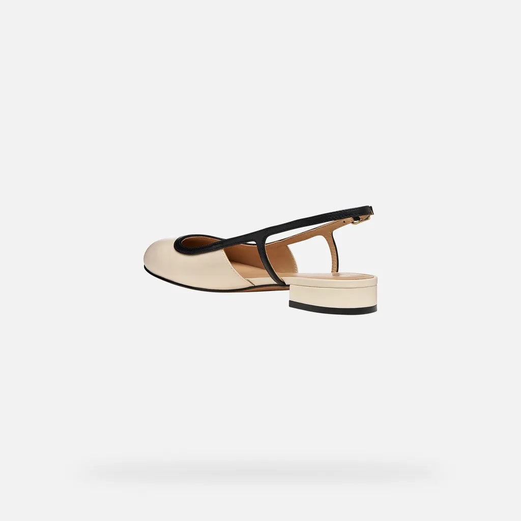 Papyrus/Black