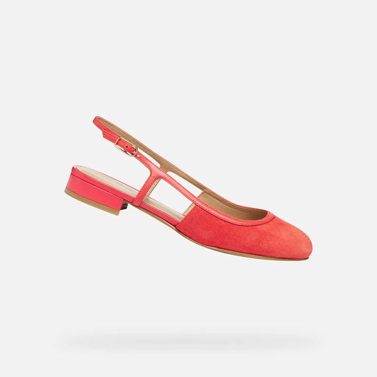 Coral