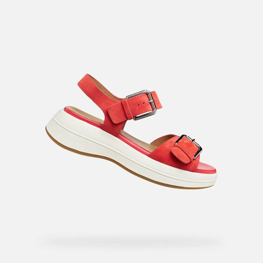 Coral