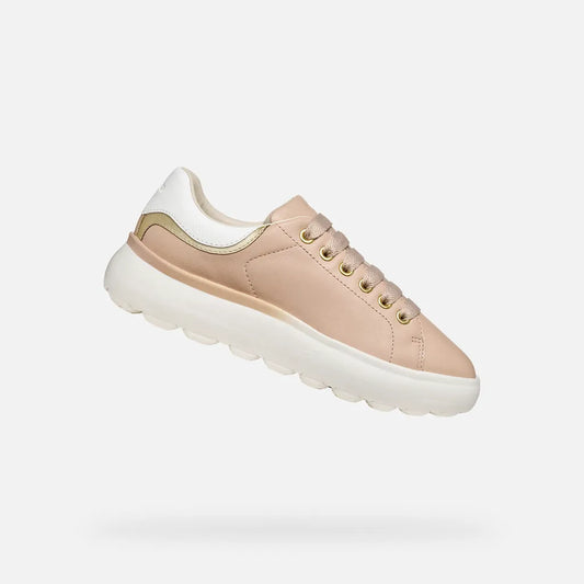 Rose/Light gold