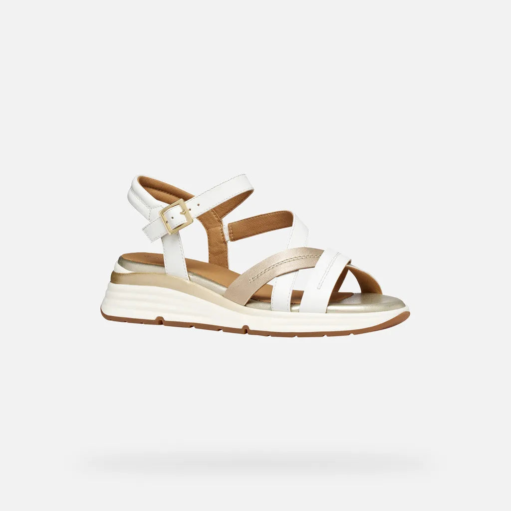 White/Light Gold