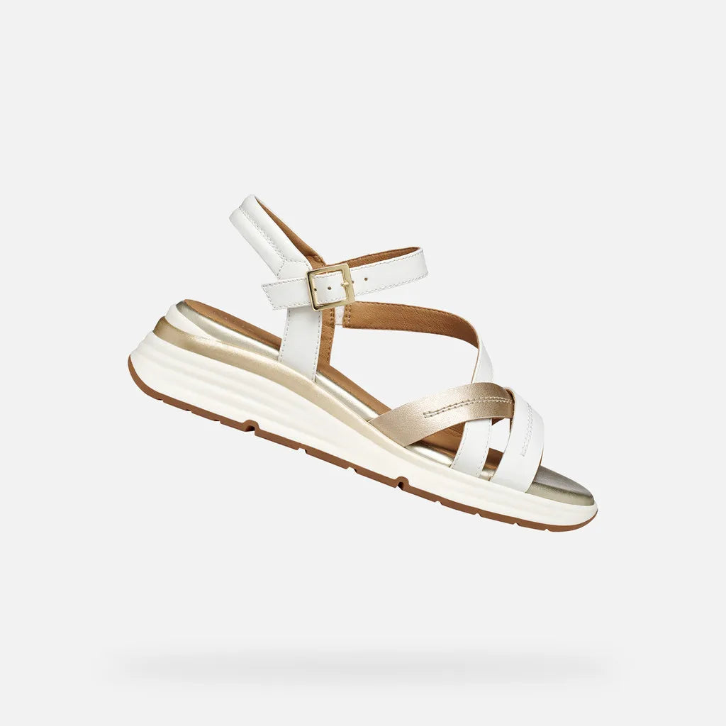 White/Light Gold