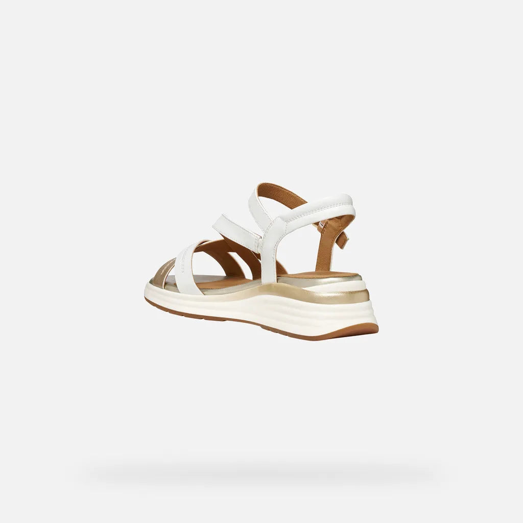 White/Light Gold