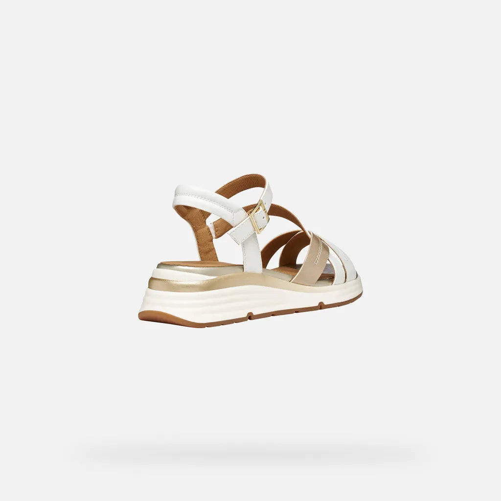 White/Light Gold
