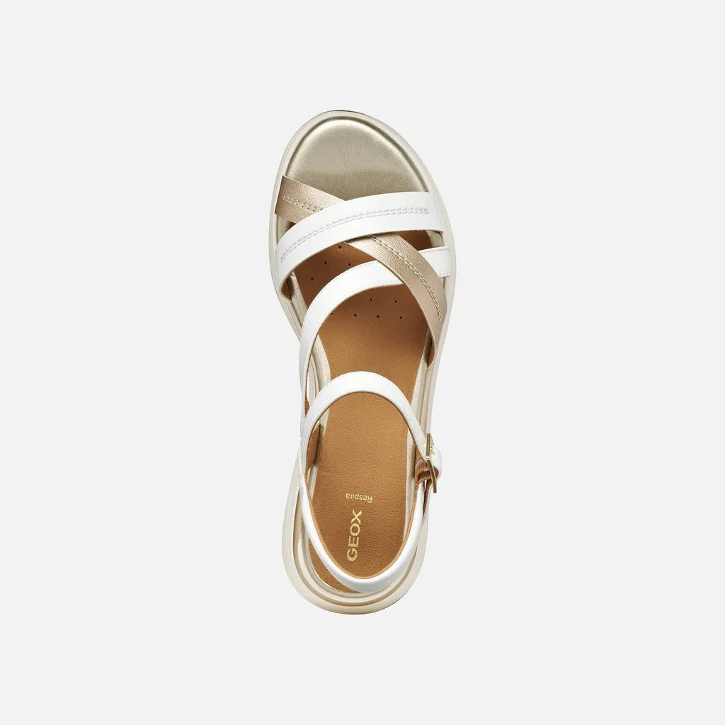 White/Light Gold