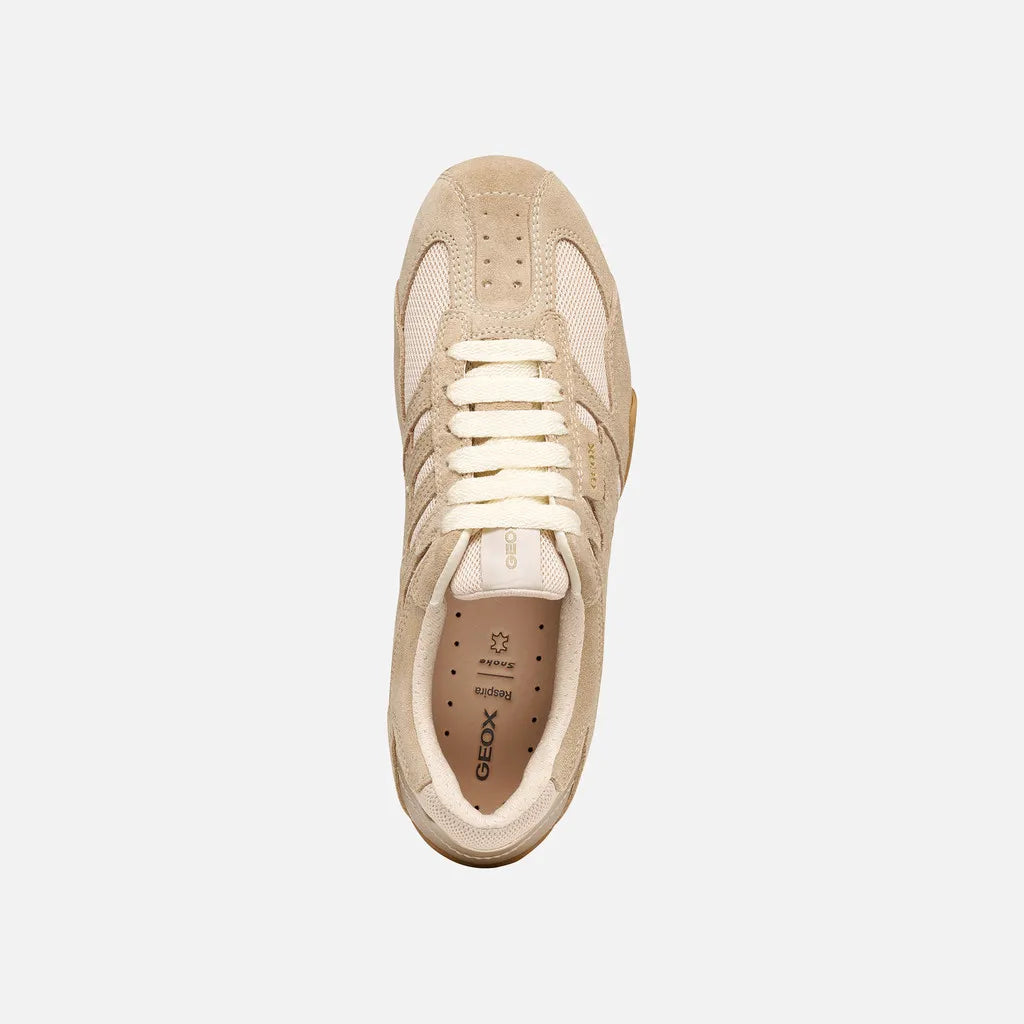 Papyrus/Cream
