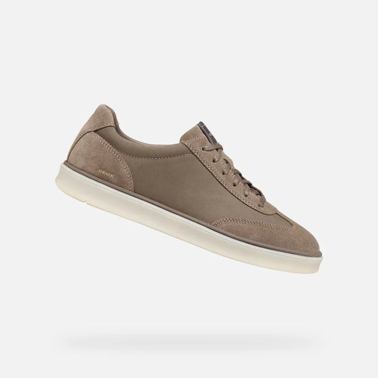 Dove Gray