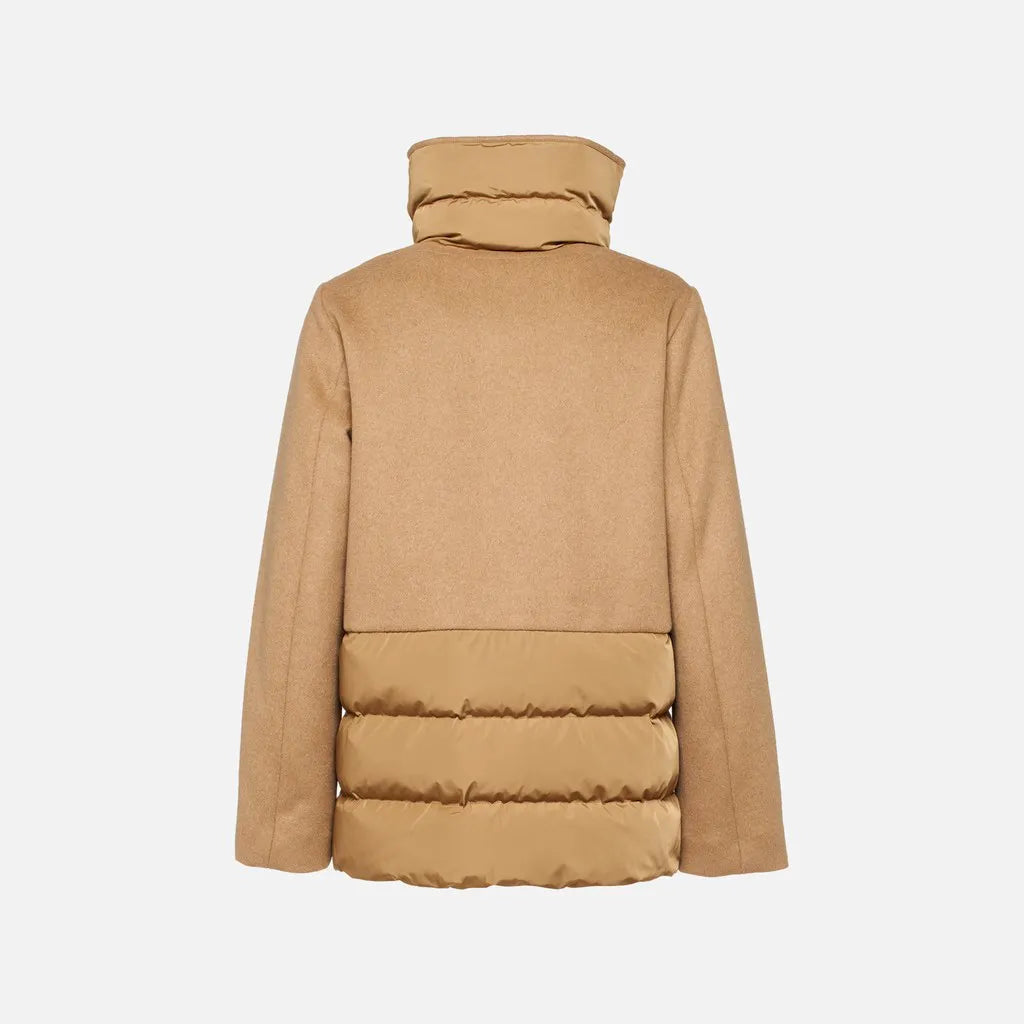 Camel Gold/Camel Gold