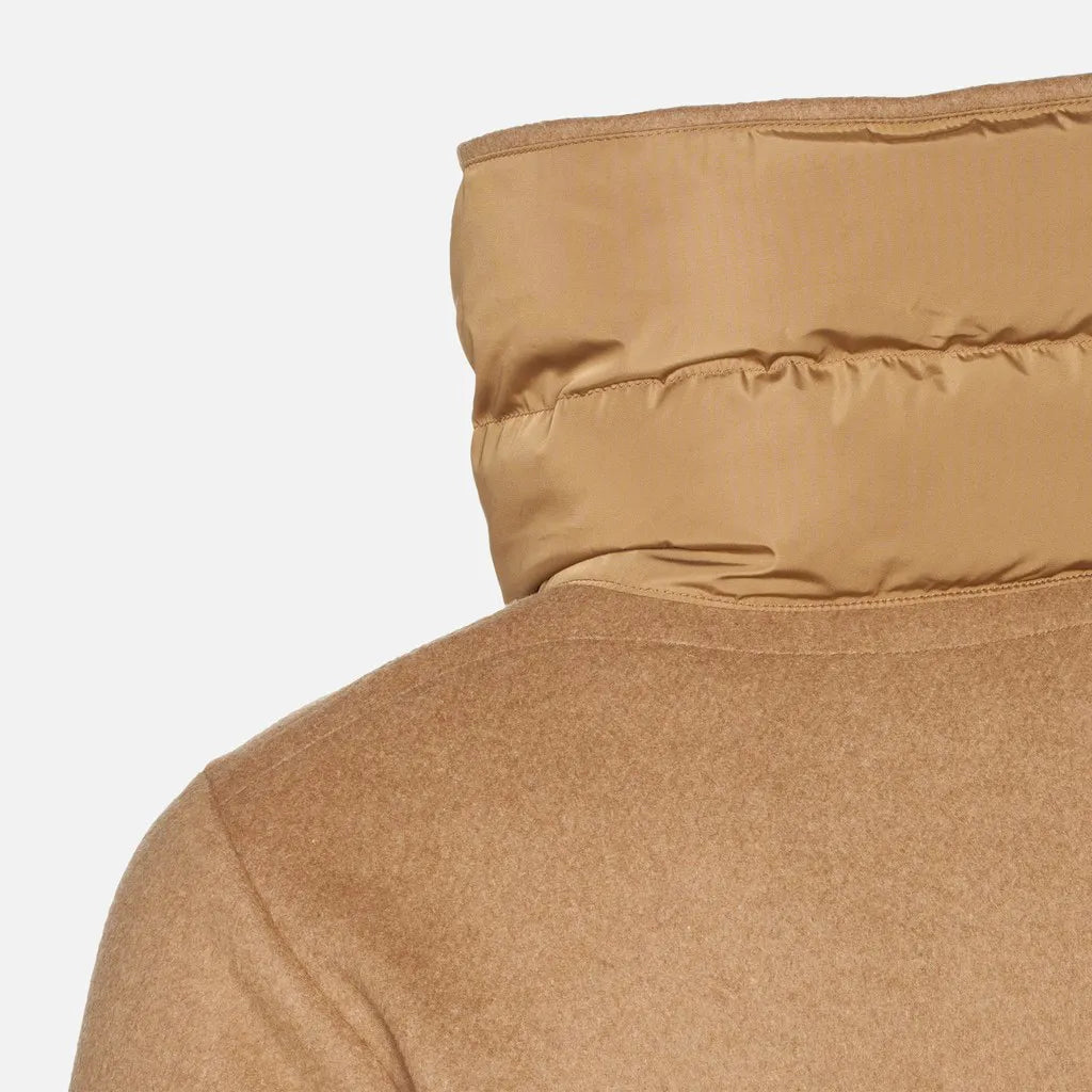 Camel Gold/Camel Gold