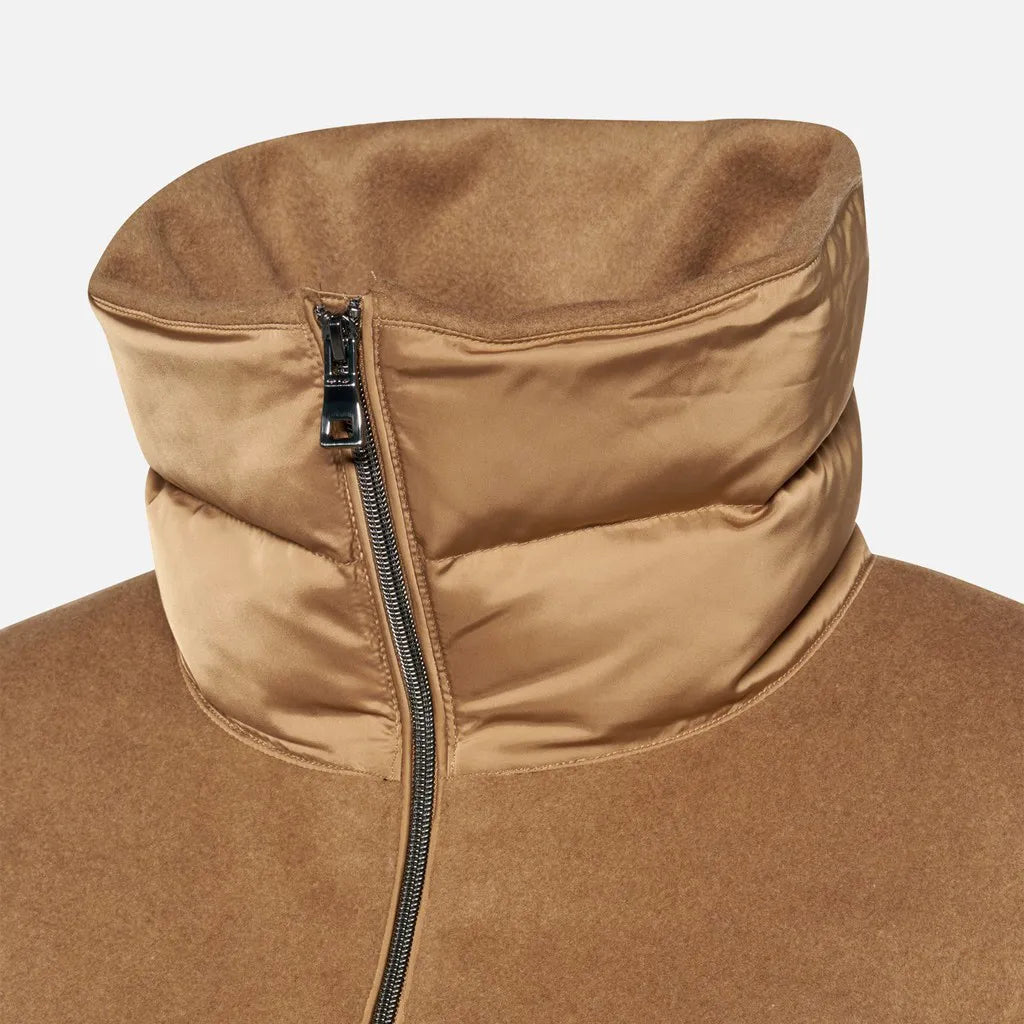Camel Gold/Camel Gold
