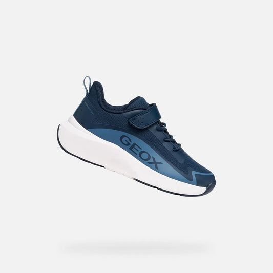 Navy/Light Blue