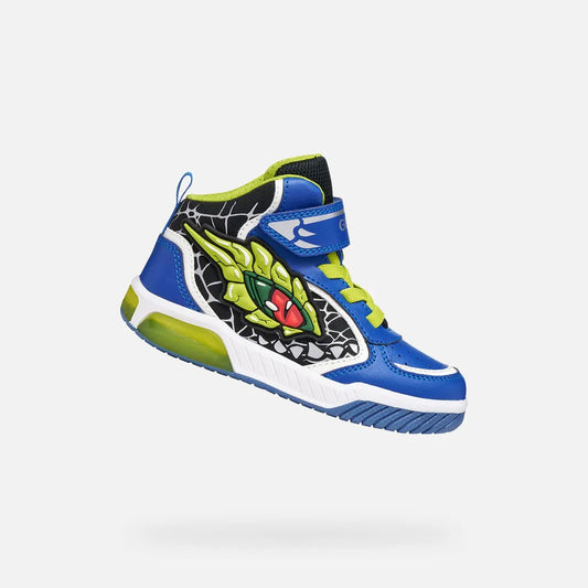 Royal/Lime