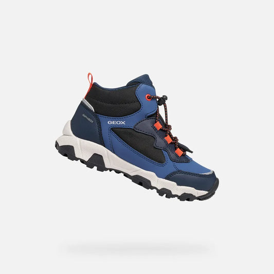 Avio/Navy
