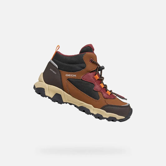 Brown/Bordeaux