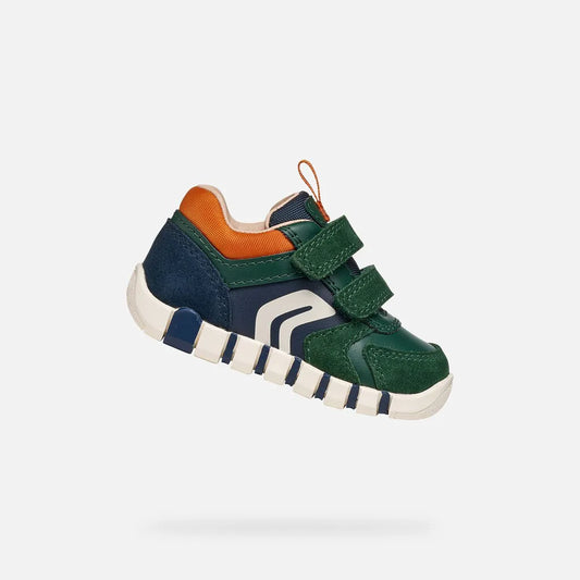 Forest/Orange