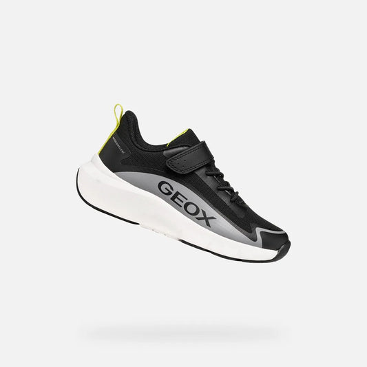 Black/Gray