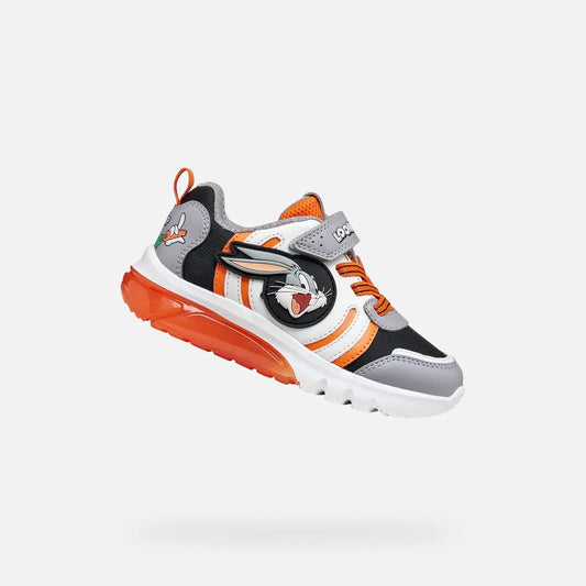 Gray/Orange