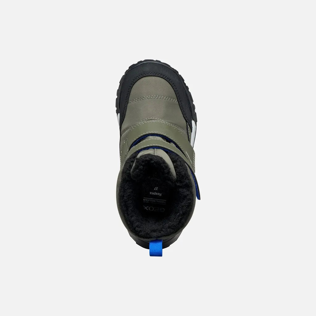 Dark green/Royal