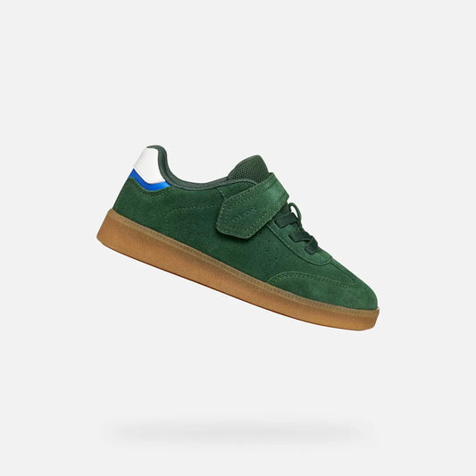 Green/Royal