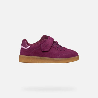 Purple/Pink