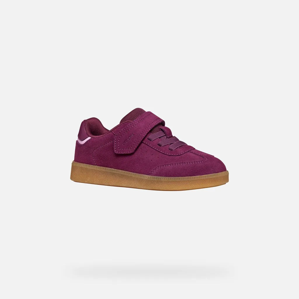 Purple/Pink