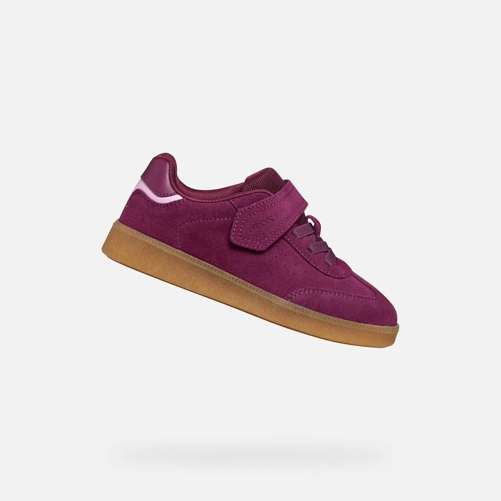 Purple/Pink