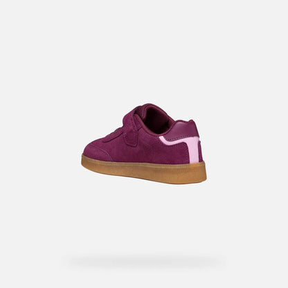 Purple/Pink