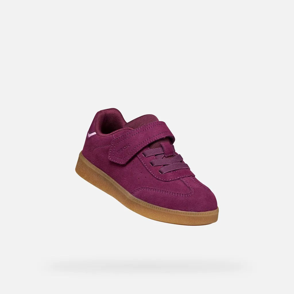 Purple/Pink