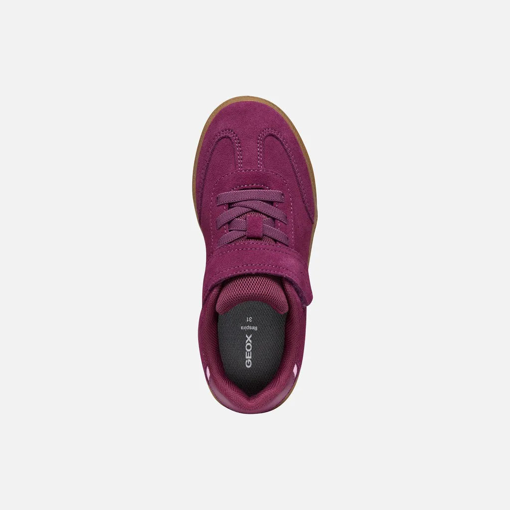 Purple/Pink