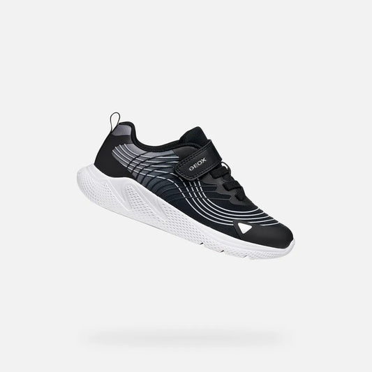 Black/Silver