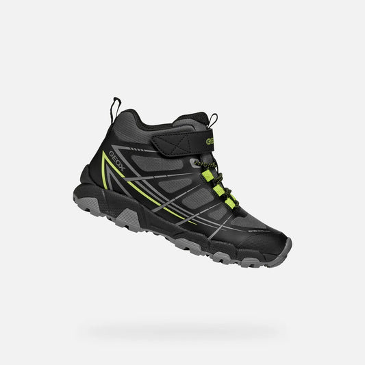 Black/Lime