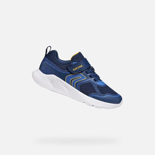 Navy/Yellow
