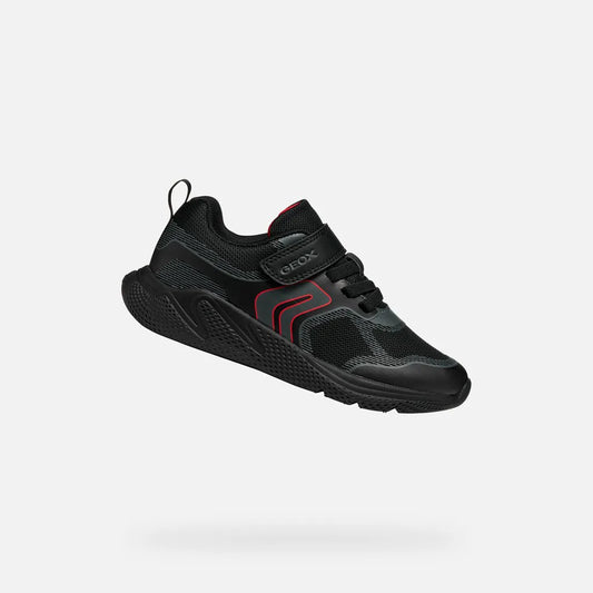 Black/Dark Gray