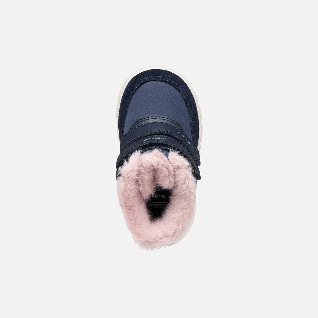 Navy/Old rose