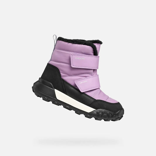 Lilac/Violet
