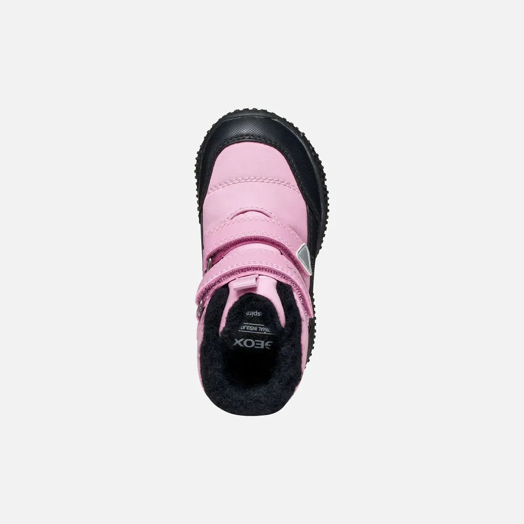 Dark rose/Black