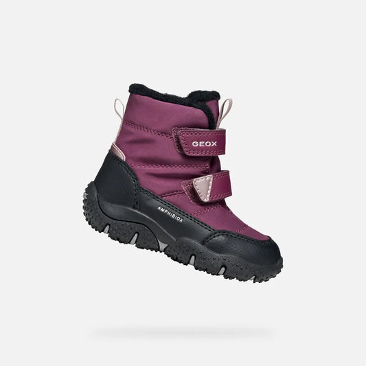 Dark purple/Black