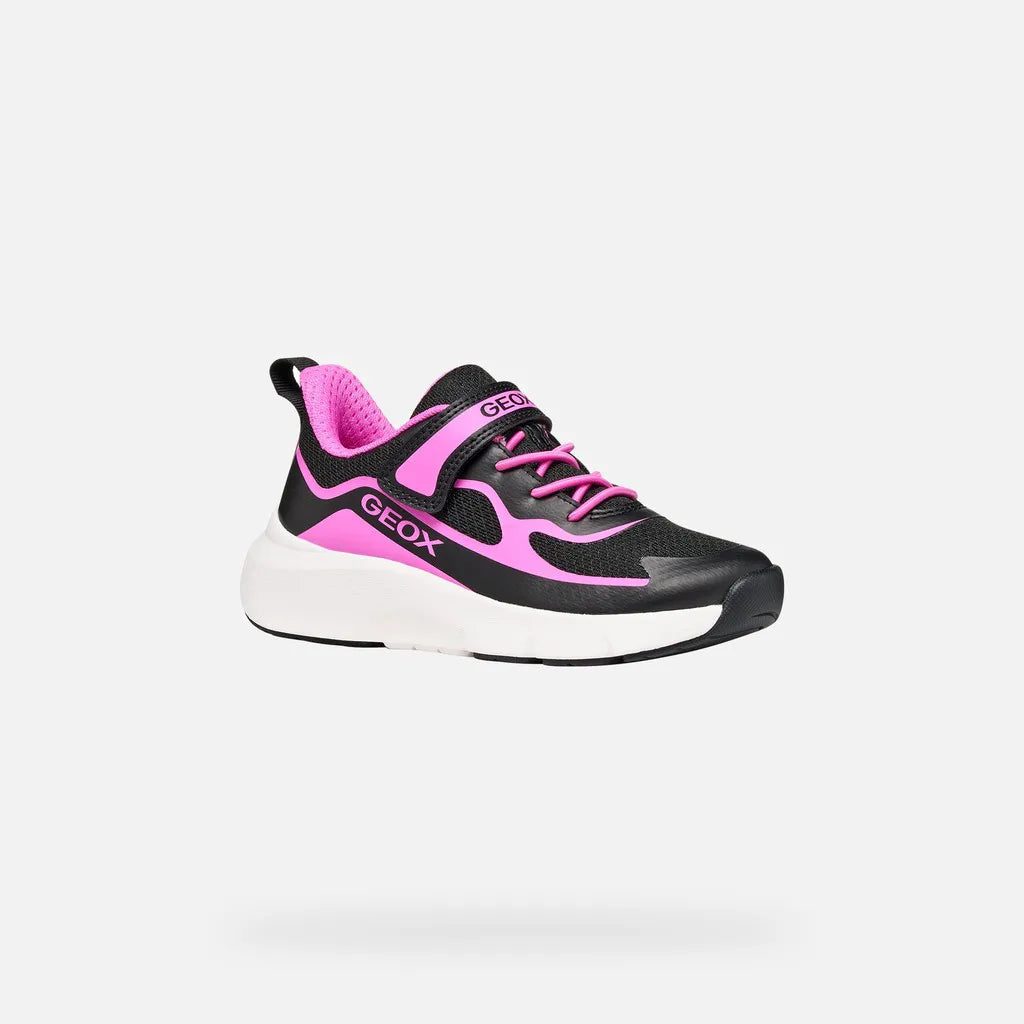Black/Fuchsia