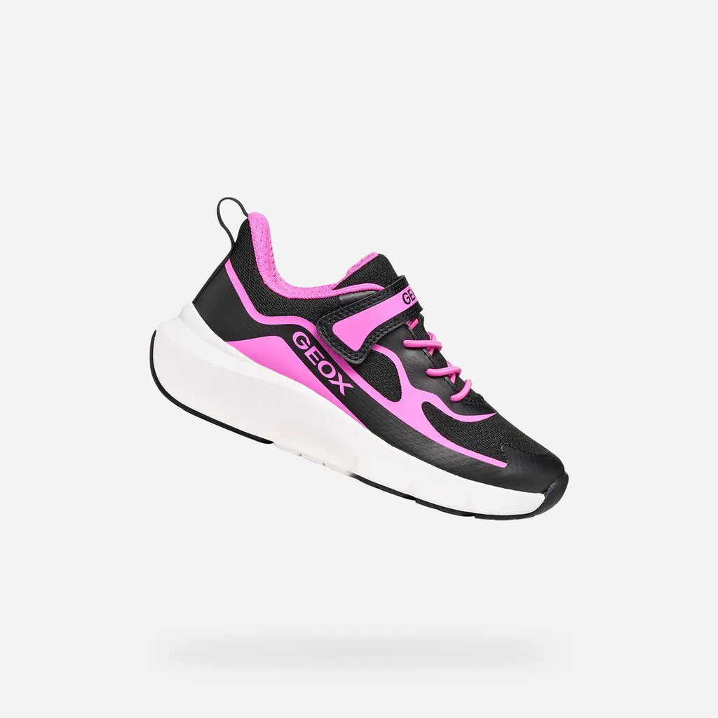 Black/Fuchsia