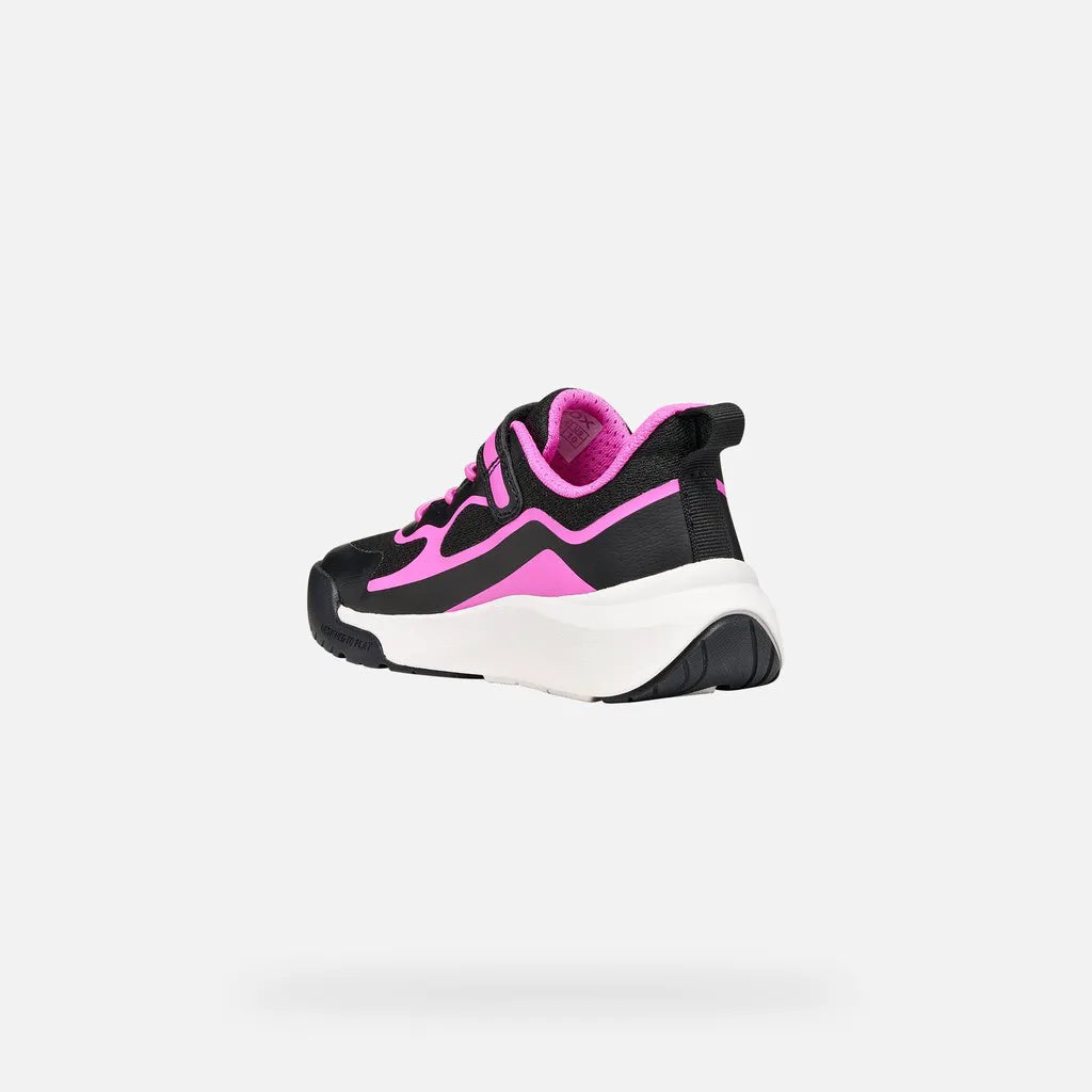 Black/Fuchsia