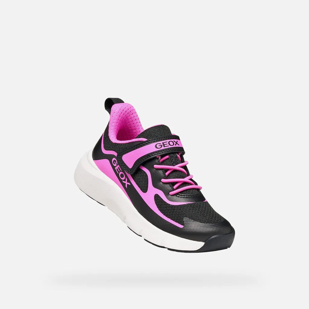 Black/Fuchsia