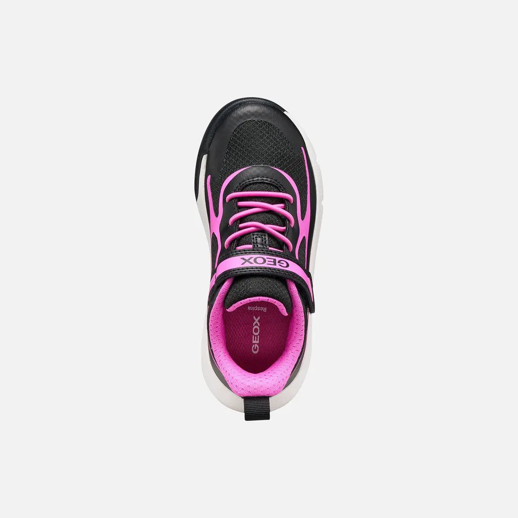 Black/Fuchsia