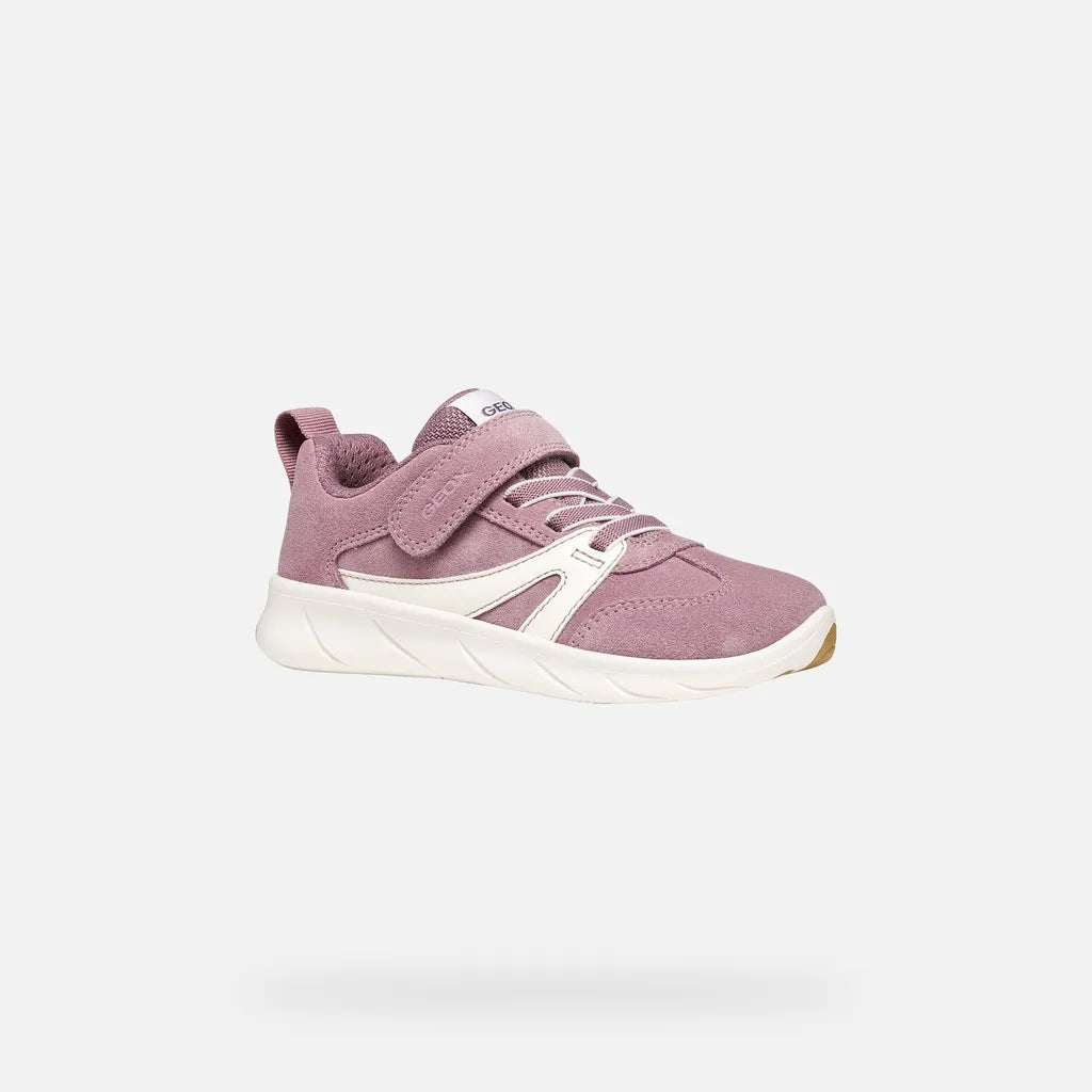 Old rose/White