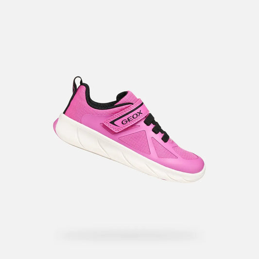 Fuchsia/Black