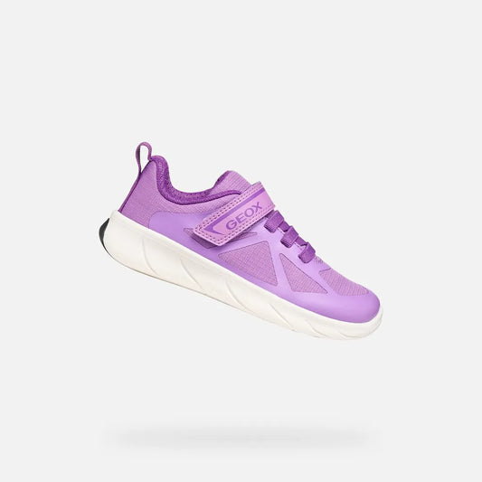 Violet/Purple